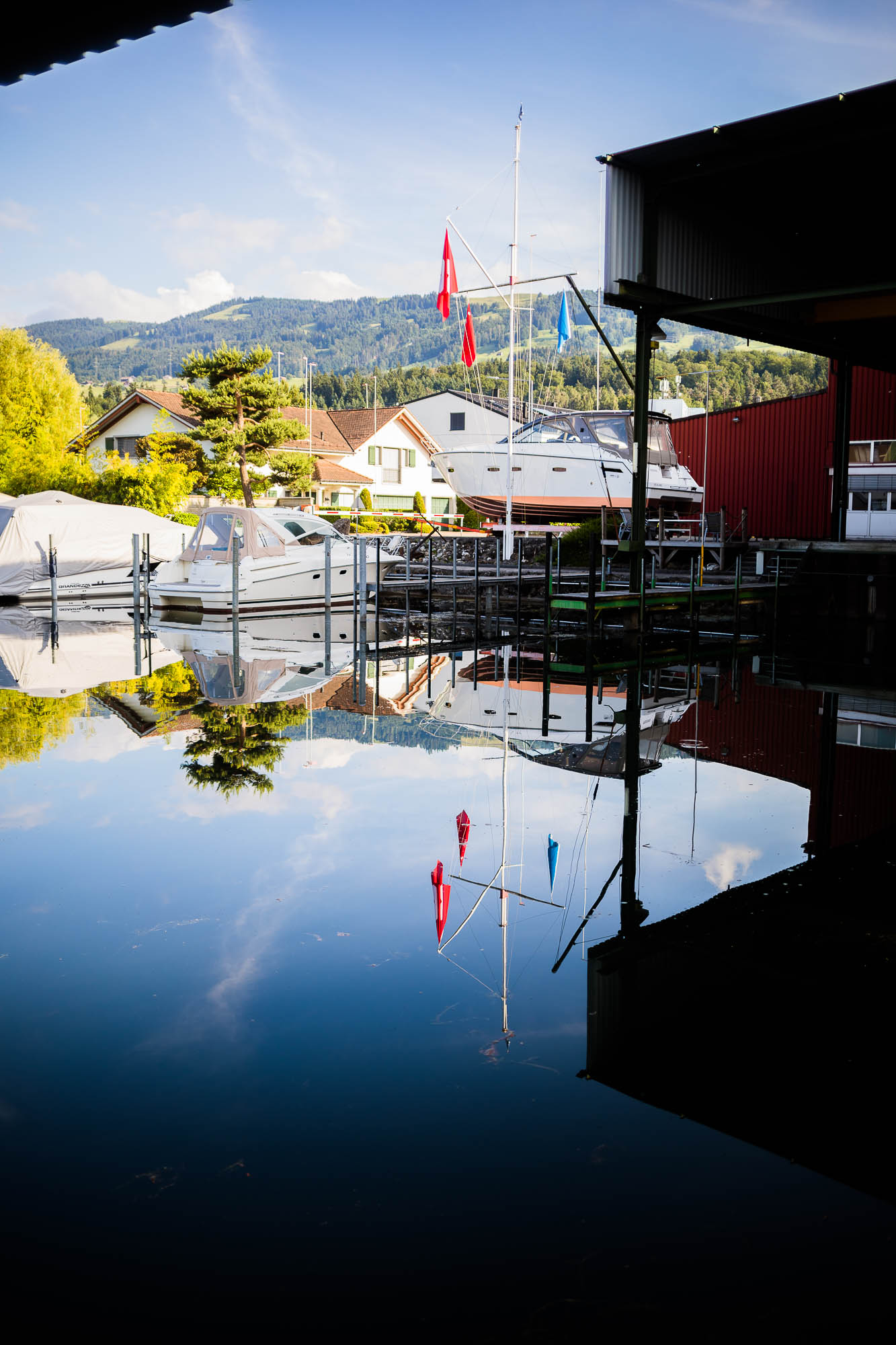 Export x3 5D4 7236 Hochzeit 2021 Jacqueline & Raphael